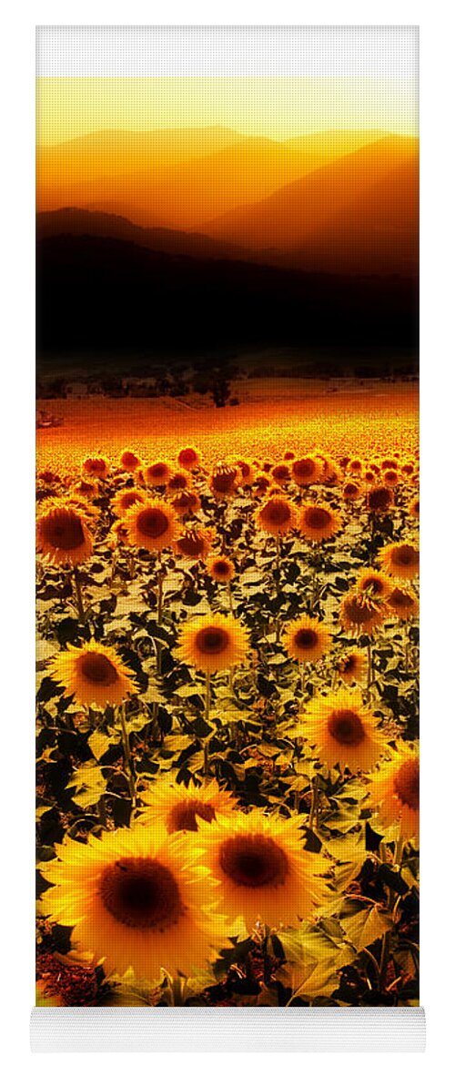 Sunflowers Yoga Mat featuring the photograph Andalucian Suns by Mal Bray