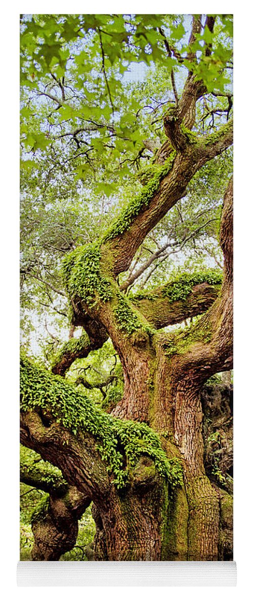 Angel Oak Yoga Mat featuring the photograph Angel Oak Tree by Sharon McConnell