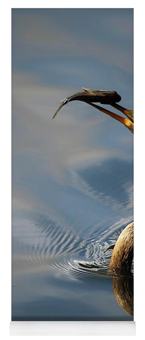 Lunch Yoga Mat featuring the photograph Anhinga and Lunch by Darren Fisher