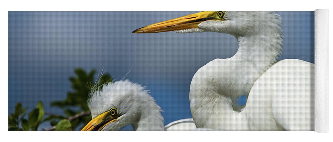 Egret Yoga Mat featuring the photograph Anxiously Waiting by Christopher Holmes