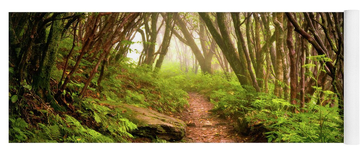 Hiking Yoga Mat featuring the photograph Appalachian Hiking Trail - Blue Ridge Mountains Forest Fog Nature Landscape by Dave Allen