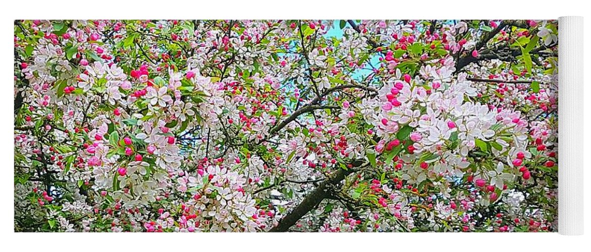 Appleblossom Yoga Mat featuring the photograph Apple Blossom Bright by Rowena Tutty