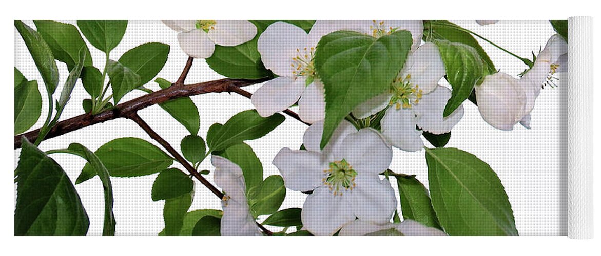 Apple Blossoms Yoga Mat featuring the photograph Apple Blossoms by Nina Bradica