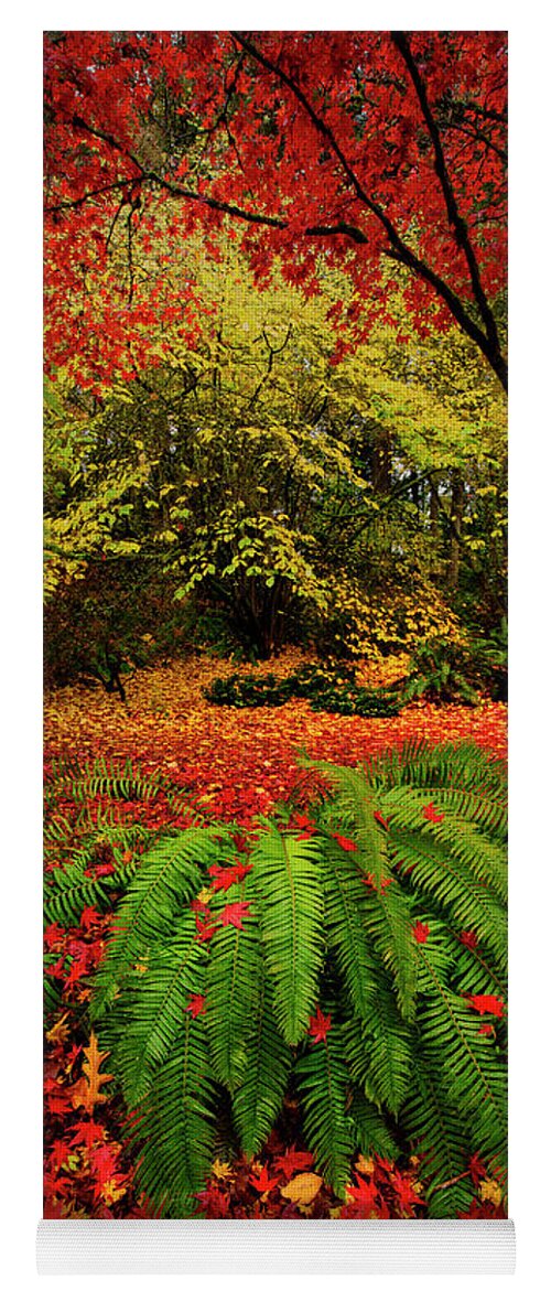 Seattle Yoga Mat featuring the photograph Arboretum Primary Colors by Dan Mihai