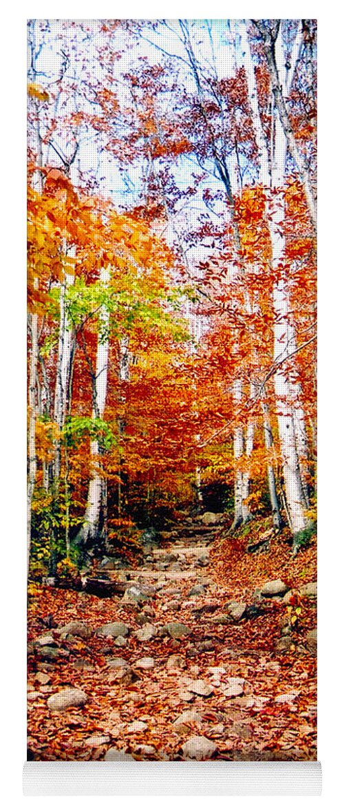 Orange Yoga Mat featuring the photograph Arethusa Falls Trail by Greg Fortier
