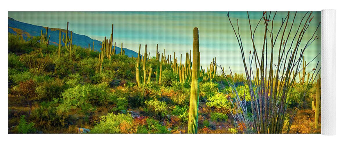 Sonoran Desert Yoga Mat featuring the photograph Arizona Landscape Series L9250069 by Sandra Selle Rodriguez