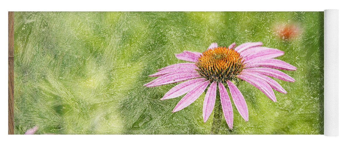 Cone Flower Yoga Mat featuring the photograph Artistic Cone Flower 2013-1 by Thomas Young