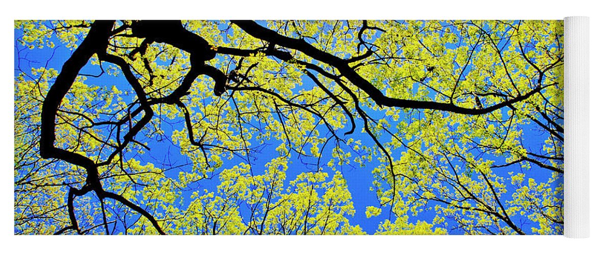 Tree Canopy Yoga Mat featuring the photograph Artsy Tree Canopy Series, Early Spring - # 03 by The James Roney Collection