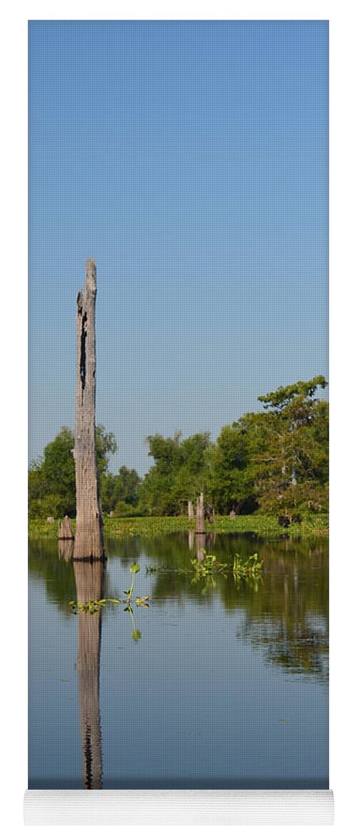 Tree Yoga Mat featuring the photograph Atchafalaya Basin 19 Southern Louisiana by Maggy Marsh