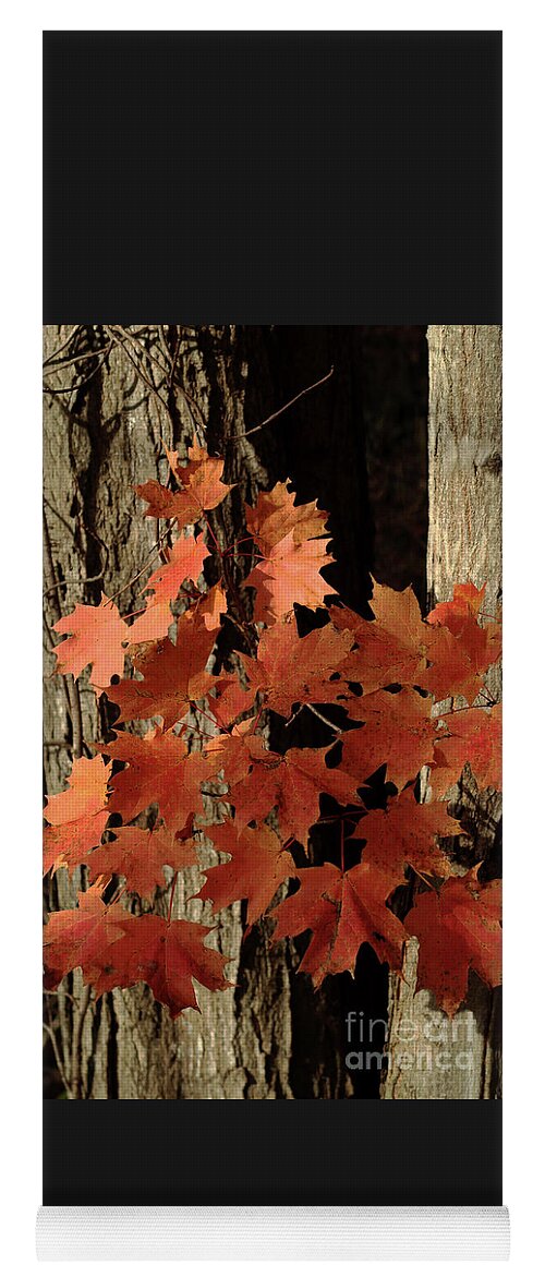 Autumn Yoga Mat featuring the photograph Autumn Adieu by Ann Horn