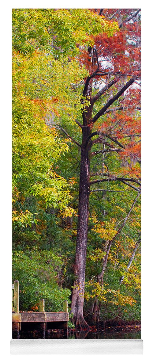 Fall Yoga Mat featuring the photograph Autumn Along Brices Creek by Bob Decker