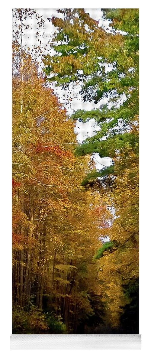 Autumn Yoga Mat featuring the photograph Autumn Avenue by DigiArt Diaries by Vicky B Fuller