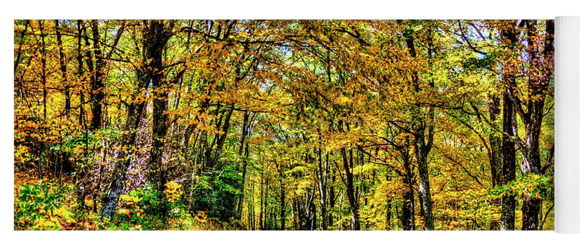 Fall Yoga Mat featuring the photograph Autumn Backroads by Dale R Carlson