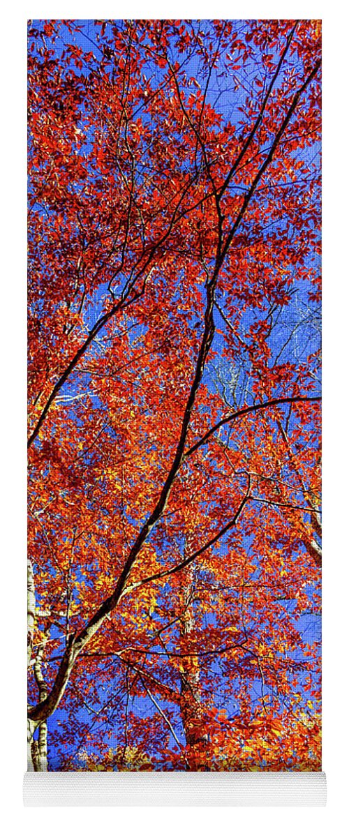 Autumn Leaves Yoga Mat featuring the photograph Autumn Blaze by Karen Wiles