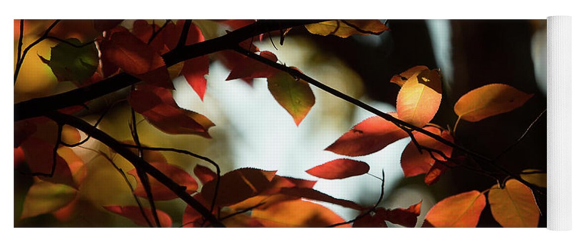 Fall Leaves Yoga Mat featuring the photograph Autumn Changing by Mike Eingle