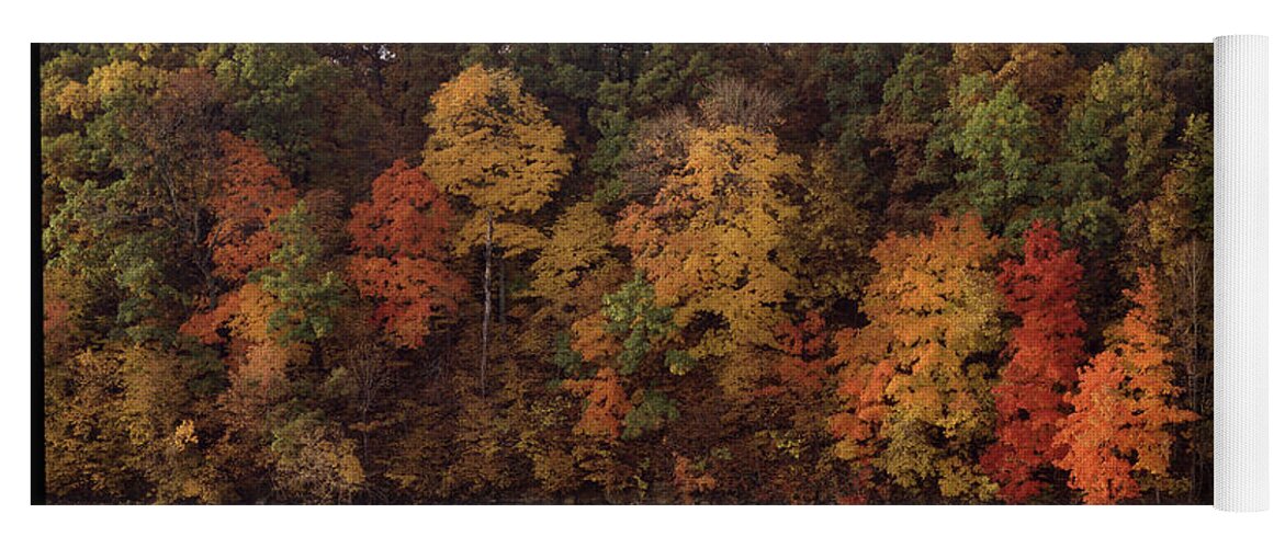 Fall Foliage Yoga Mat featuring the photograph Autumn Color in the Ozarks, Southwest Missouri USA by Greg Kopriva