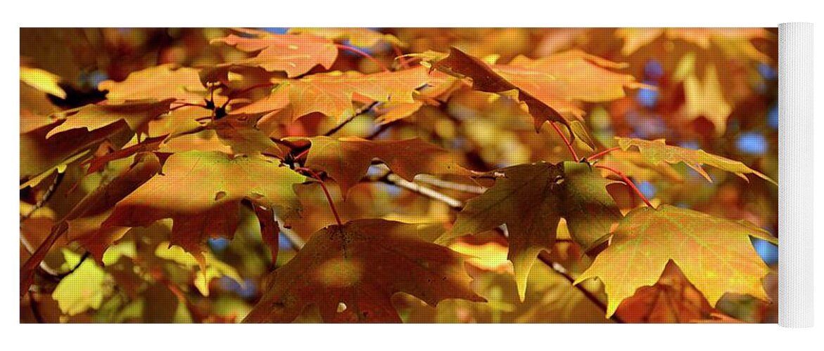 Autumn Yoga Mat featuring the photograph Autumn Colors 3 by Angie Tirado