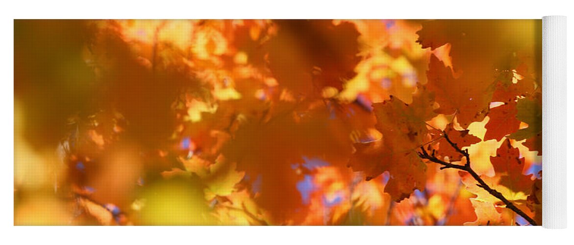 Landscape Yoga Mat featuring the photograph Autumn Colors and Leaves by Brett Pelletier