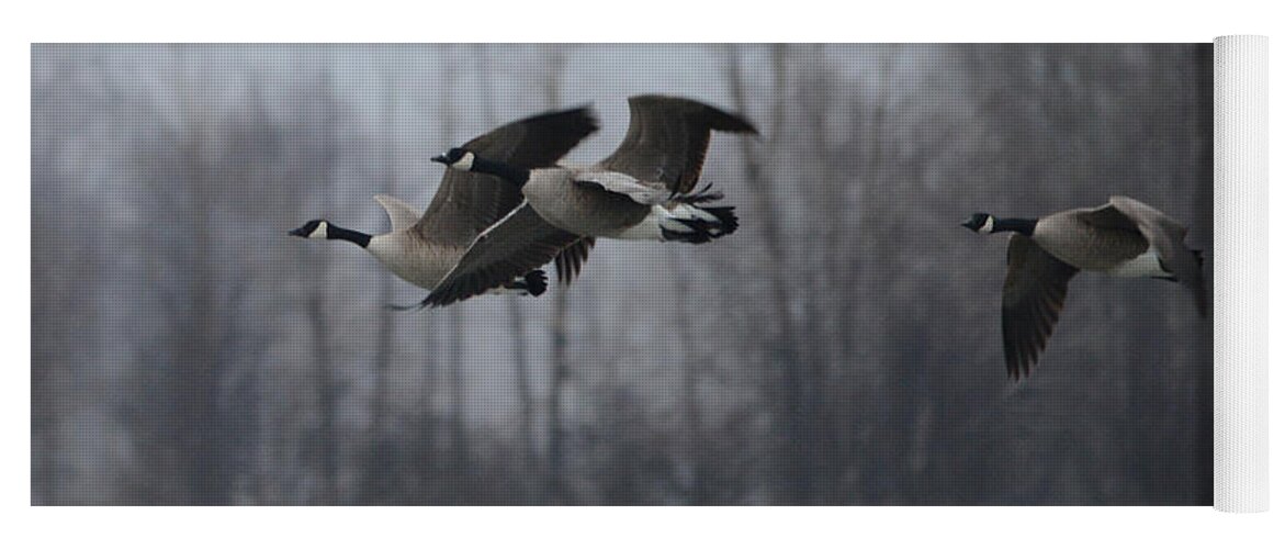 Geese Yoga Mat featuring the photograph Autumn Flight by Whispering Peaks Photography