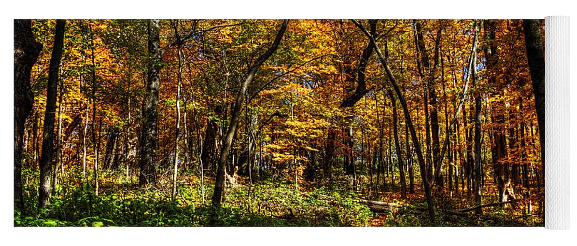Pictorial Yoga Mat featuring the photograph Autumn Forest Path at Johnson's Mound by Roger Passman