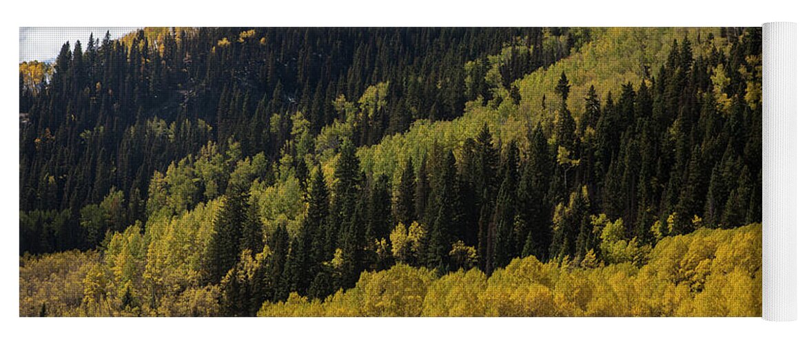 Autumn Yoga Mat featuring the photograph Autumn in Colorado by Timothy Johnson