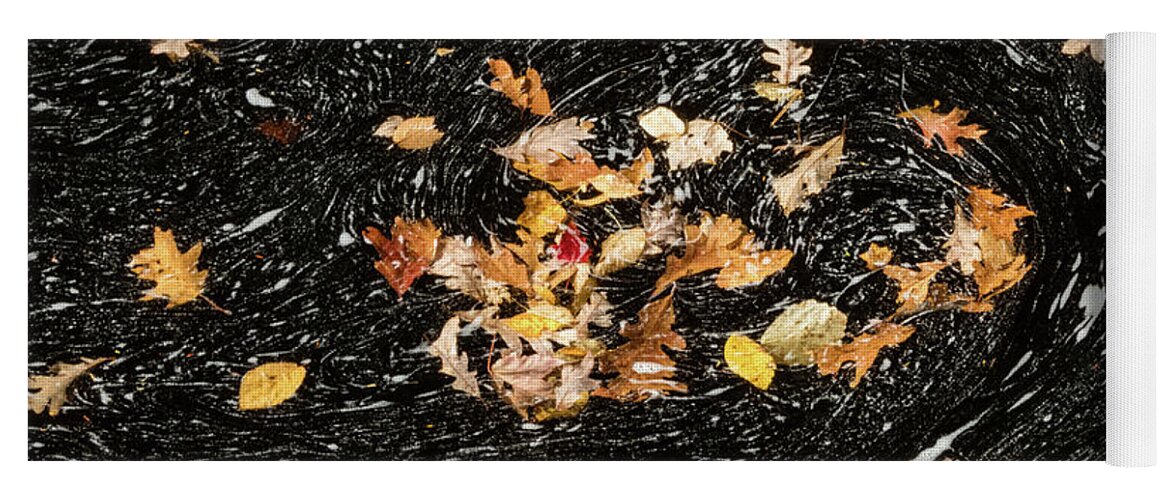 David Letts Yoga Mat featuring the photograph Autumn Leaves Abstract by David Letts