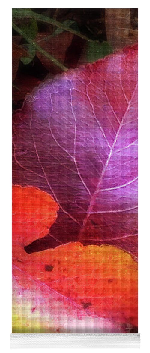 Autumn Leaves Yoga Mat featuring the photograph Autumn Leaves by Terri Harper