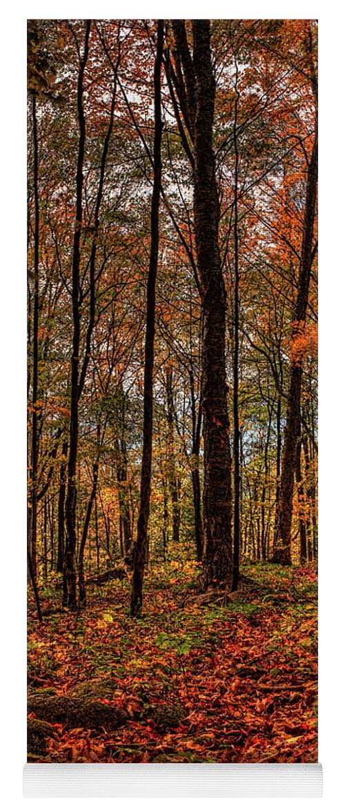 Autumn Yoga Mat featuring the photograph Autumn on the Ice Age Trail by Dale Kauzlaric