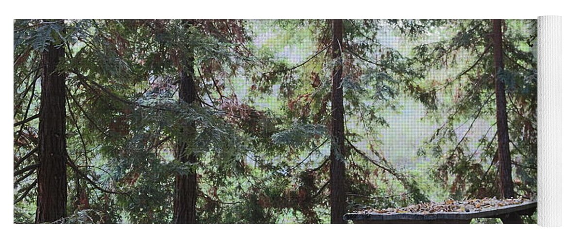 Woods Yoga Mat featuring the photograph Autumn Picnic in the woods by Christy Pooschke