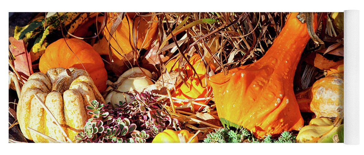 Autumn Yoga Mat featuring the photograph Autumn - Squash - Feeling squashed by Mike Savad
