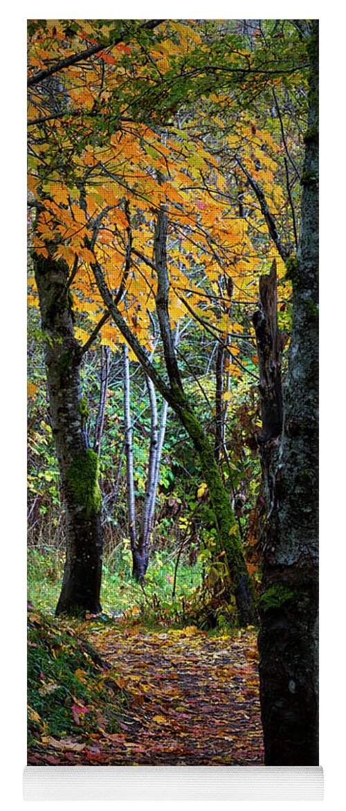 Autumn Trail Yoga Mat featuring the photograph Autumn Trail by Randy Hall