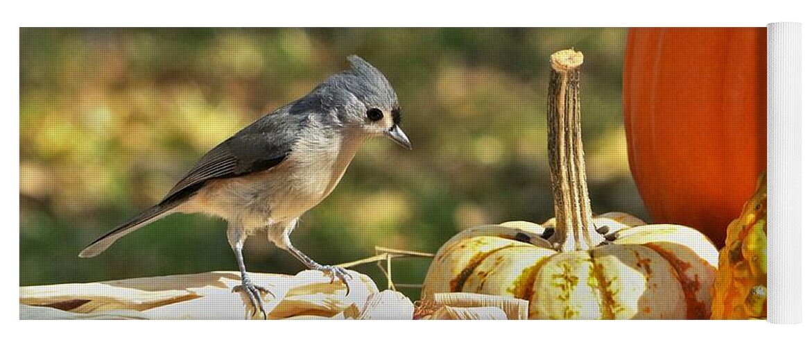 Nature Yoga Mat featuring the photograph Autumn Tufted Titmouse by Sheila Brown