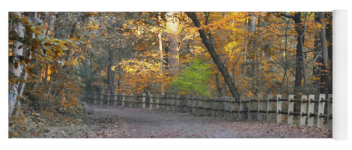 Autumn Yoga Mat featuring the photograph Autumn Walk near Valley Green by Bill Cannon