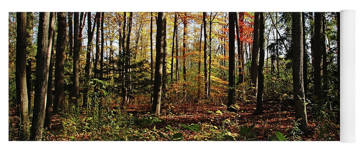 Autumn Yoga Mat featuring the photograph Autumn Woodland by Debbie Oppermann