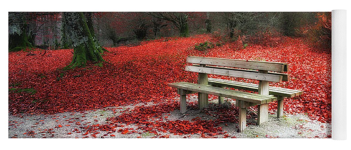 Bench Yoga Mat featuring the photograph Autumnal rest by Mikel Martinez de Osaba