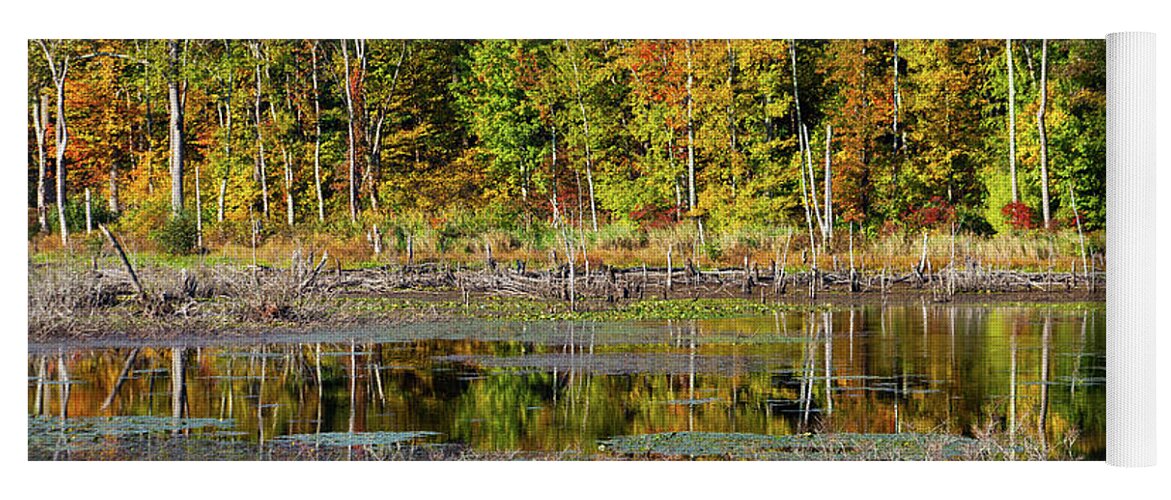Silent Waters Yoga Mat featuring the photograph Autumns Quiet Moment by Karol Livote