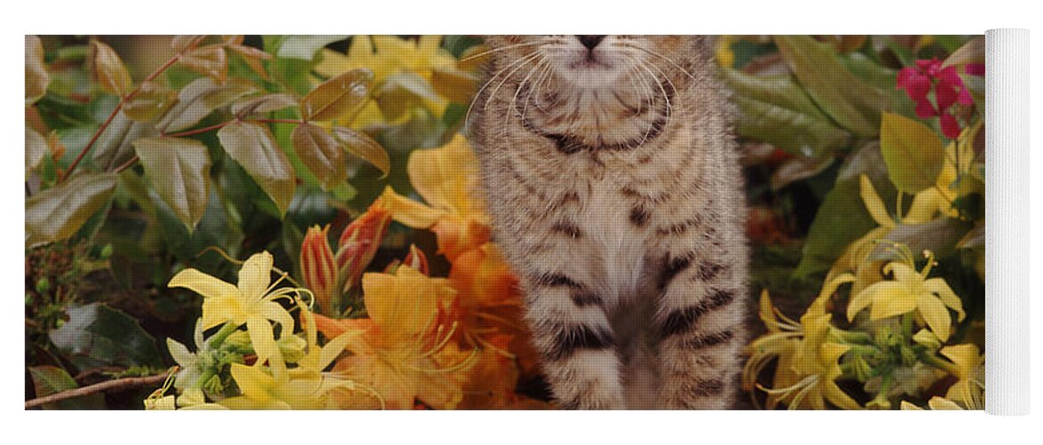 Kitten Yoga Mat featuring the photograph Azalea Ambush by Warren Photographic