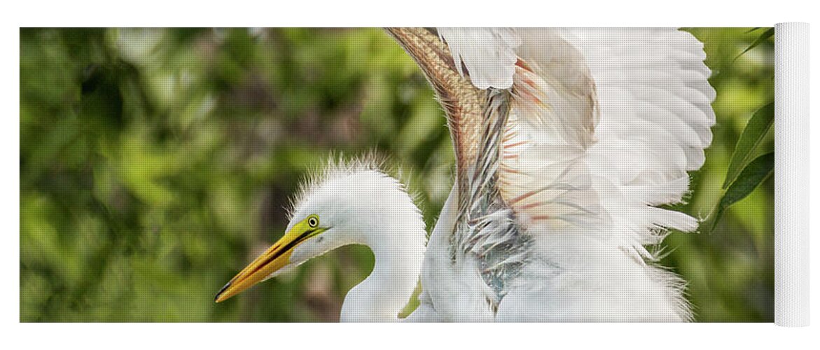 Baby Egret Yoga Mat featuring the photograph Baby Great White Egret - Testing Wings by Patti Deters