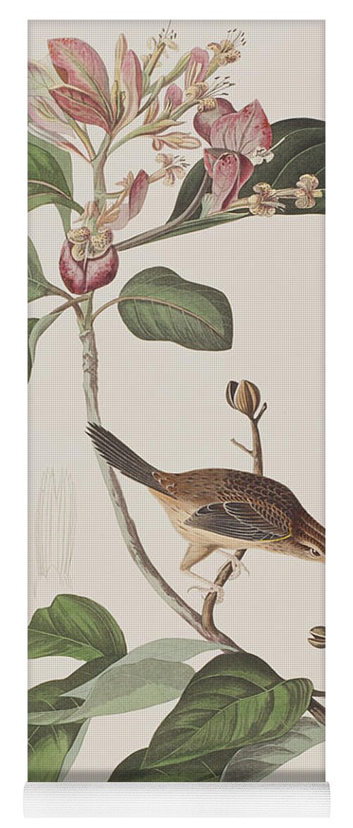 Sparrow Yoga Mat featuring the painting Bachmans Sparrow by John James Audubon