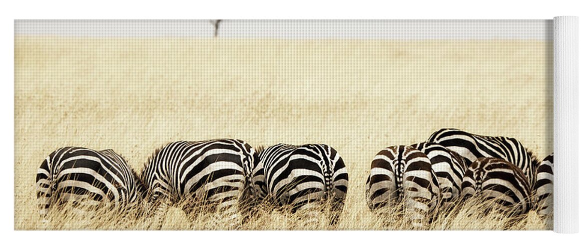 Mara Yoga Mat featuring the photograph Back view of Zebras in a row by Jane Rix