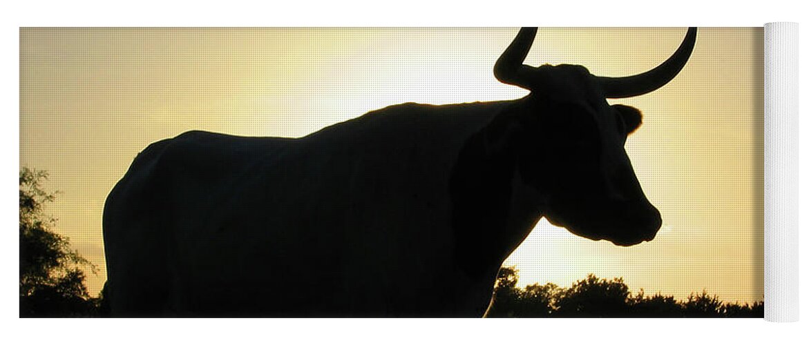 Backlit Yoga Mat featuring the photograph Backlit Longhorn by Ted Keller