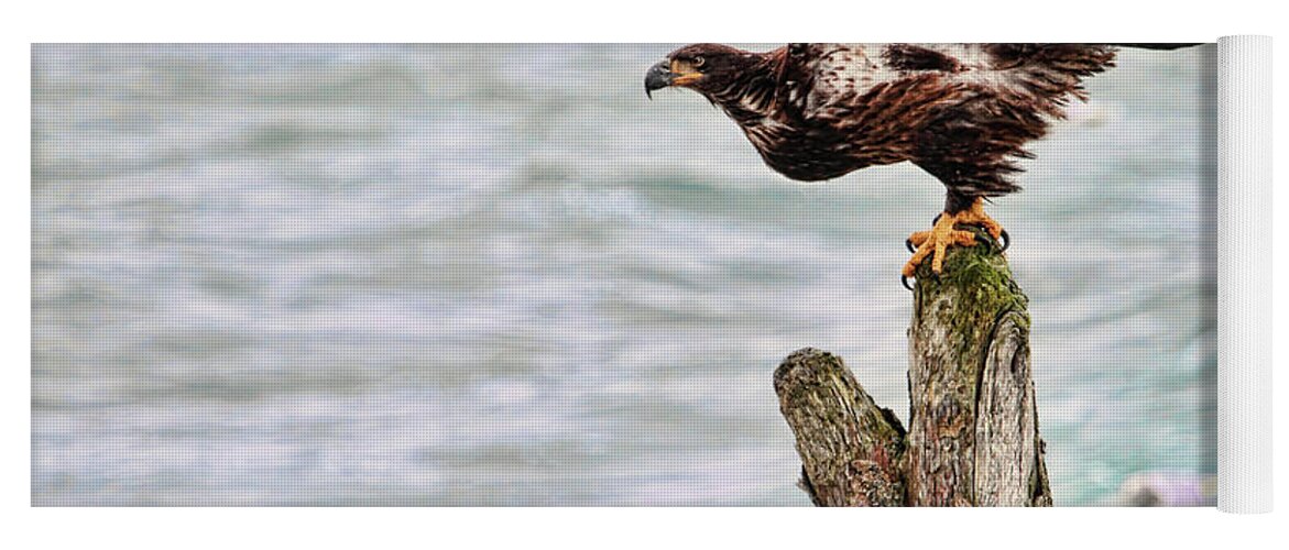 Bald Eagle Yoga Mat featuring the photograph Bald Eagle on Driftwood at the Beach by Peggy Collins