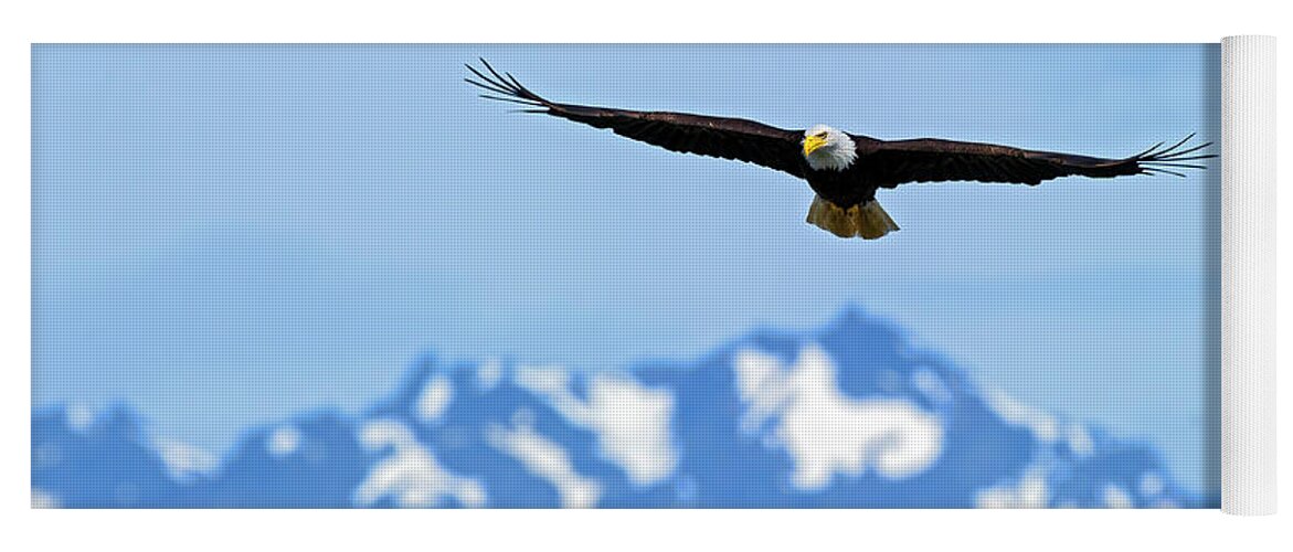  Hood Yoga Mat featuring the photograph Bald Eagle Soars over Hood Canal by Gary Langley
