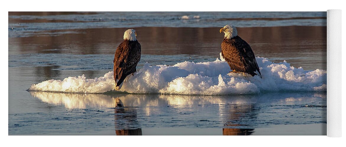 Eagles Yoga Mat featuring the photograph Bald Eagles On Ice -5176 by Norris Seward