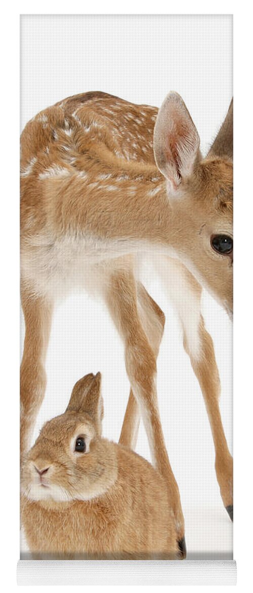 Fallow Deer Yoga Mat featuring the photograph Bambi and Thumper by Warren Photographic