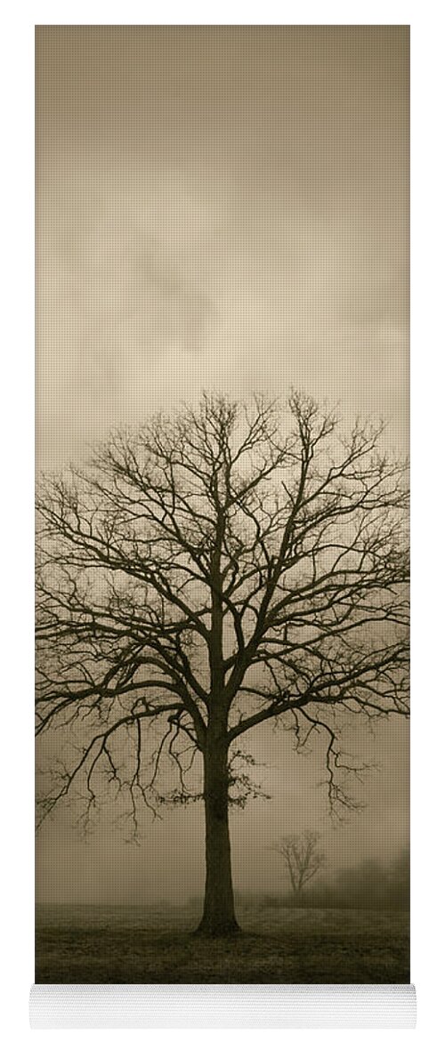 Tree Yoga Mat featuring the photograph Bare Tree And Clouds by David Gordon