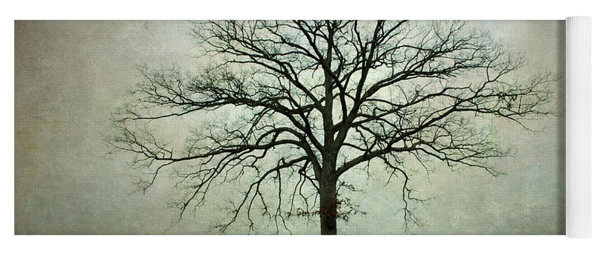 Lone Tree Yoga Mat featuring the photograph Bare Tree and Fog by David Gordon