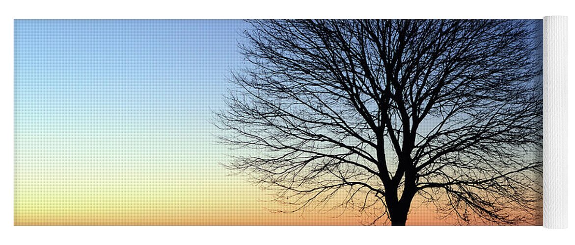 Great Yoga Mat featuring the photograph Bare Tree at Sunrise by James Kirkikis