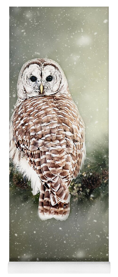 Barred Owl Print Yoga Mat featuring the photograph Barred Owl in the Snow by Gwen Gibson