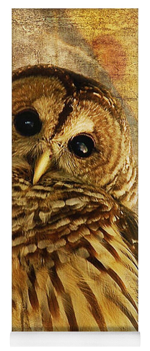 Owl Yoga Mat featuring the photograph Barred Owl by Lois Bryan